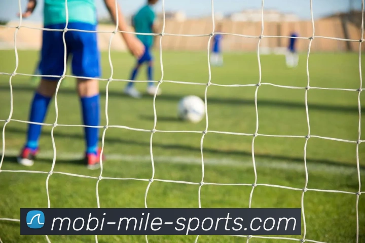 米乐体育平台生态图